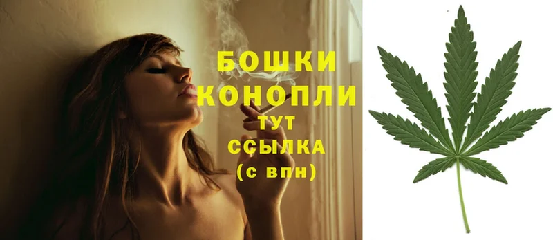 купить  цена  Ставрополь  Бошки марихуана Ganja 